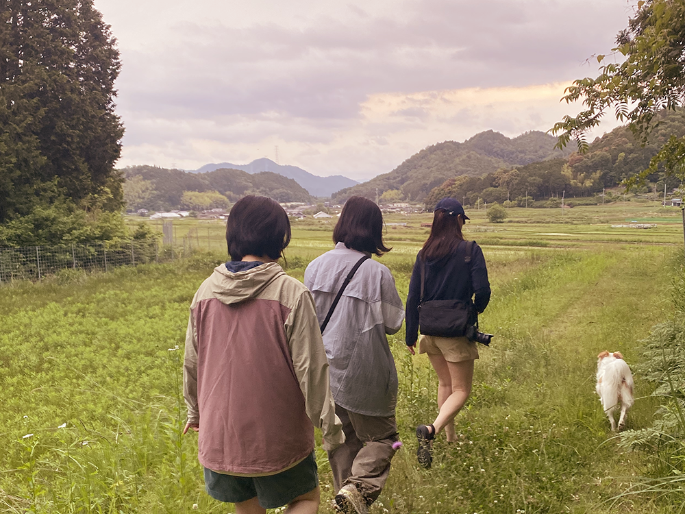 夕方の里山散策