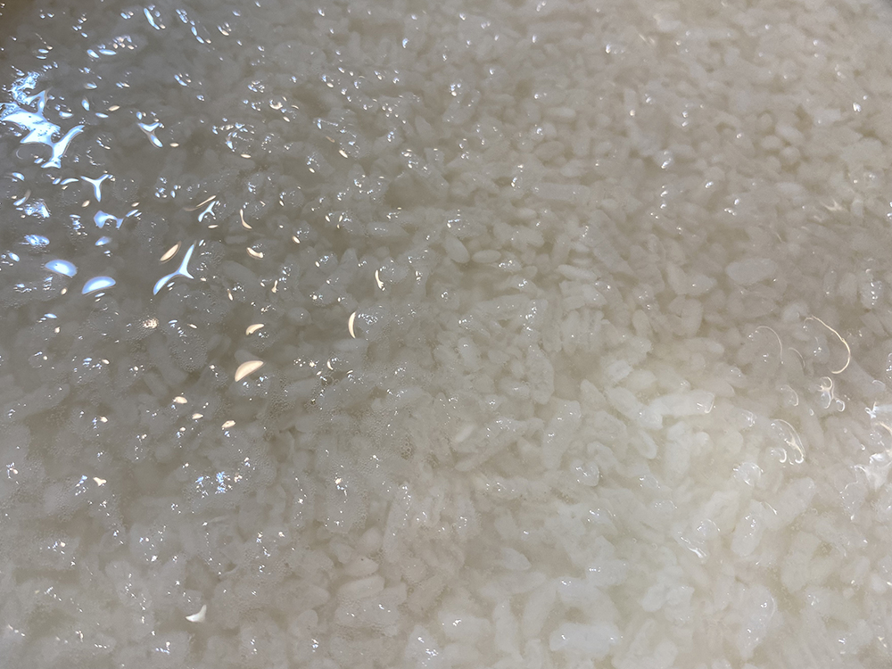 homemade fermented rice amazake